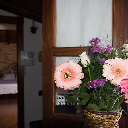 Holiday home Casa El Pino *