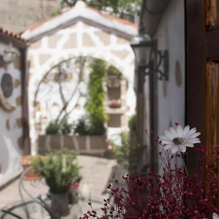 Casa El Pino * Vilaflor