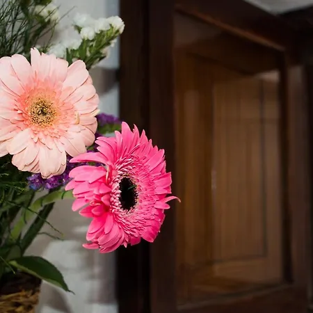 Casa de Férias Casa El Pino