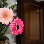 別荘 Casa El Pino